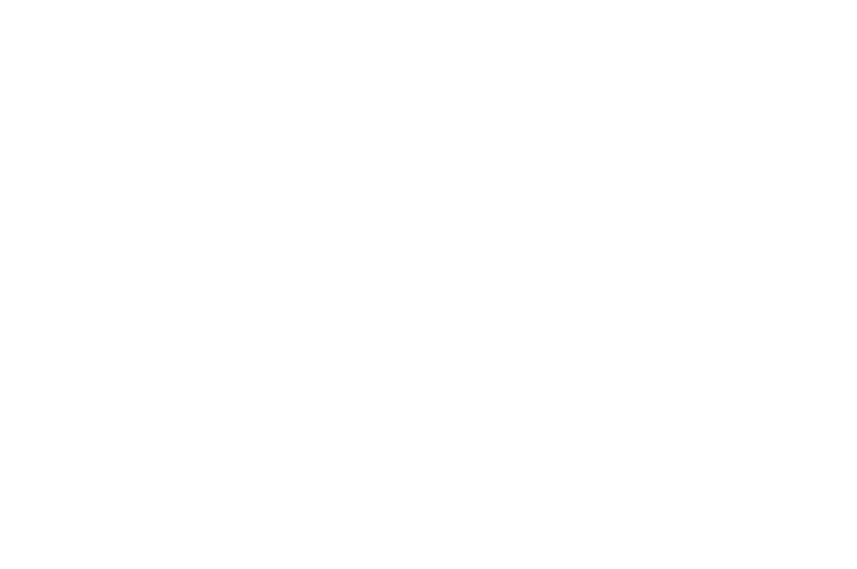 OFFICIAL SELECTION - WOODSTOCK FILM FESTIVAL - 2021