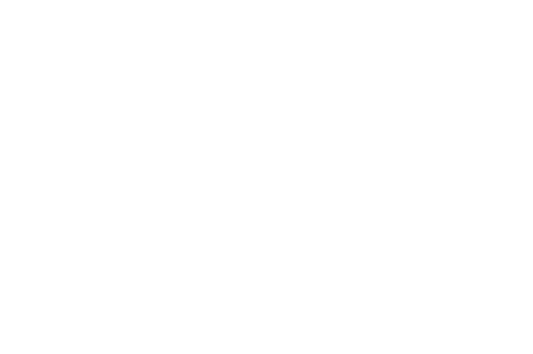 BEST CINEMATOGRAPHY - Virginia Emerging Filmmakers Festival - 2021