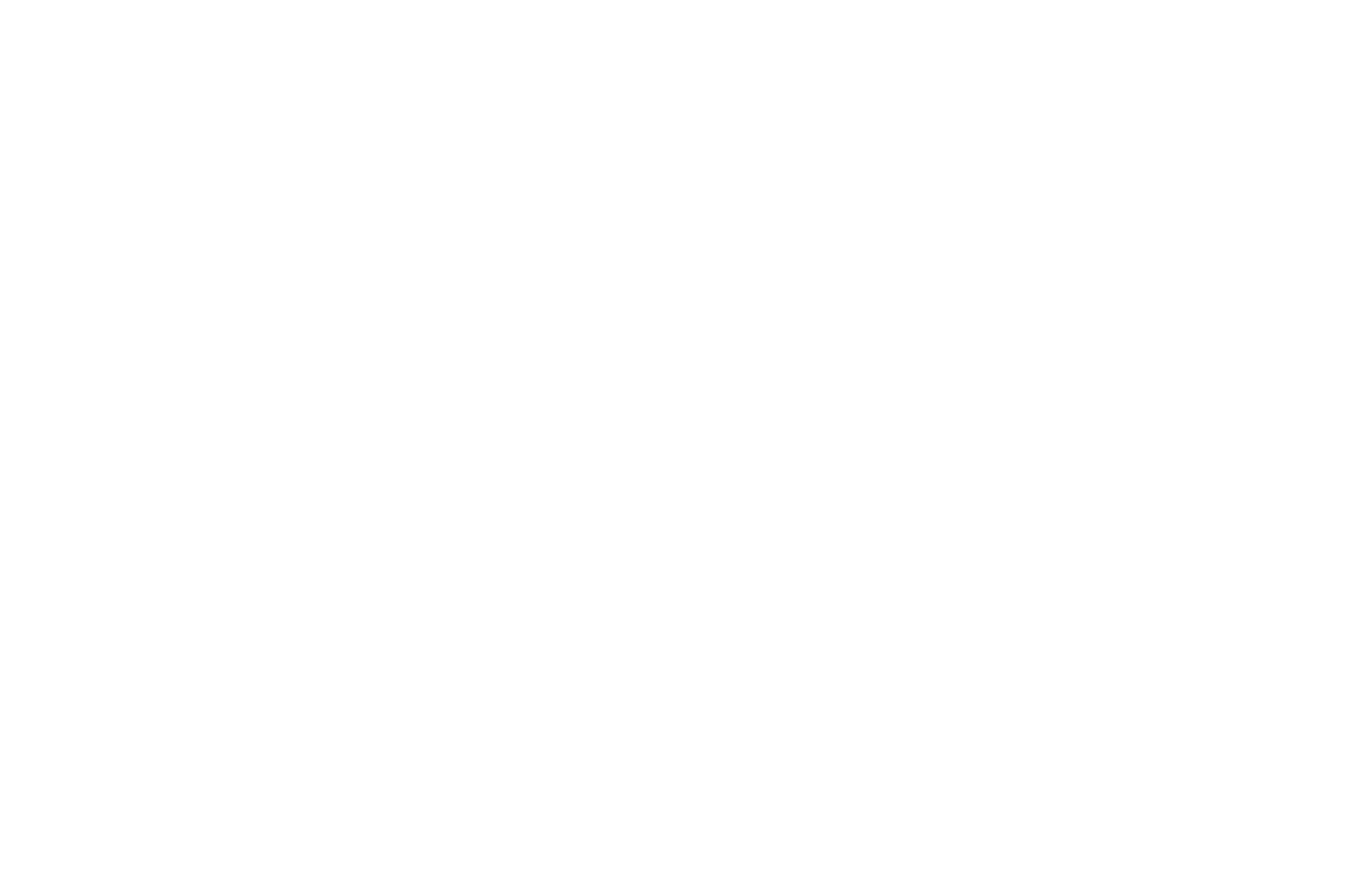 BEST DIRECTOR - Virginia Emerging Filmmakers Festival - 2021